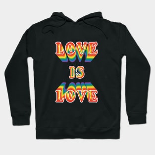 Love is love, no matter the sexual preference Hoodie